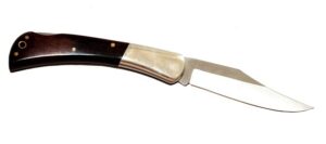 Sharpen a Pocket Knife Using a Sharpening Stone